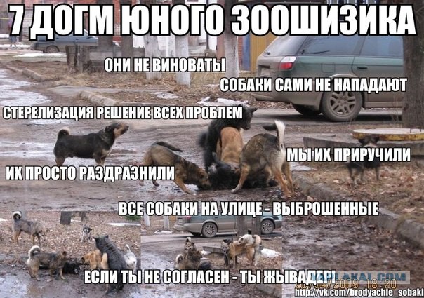 В Подмосковье собаки насмерть загрызли 19-летнего молодого человека
