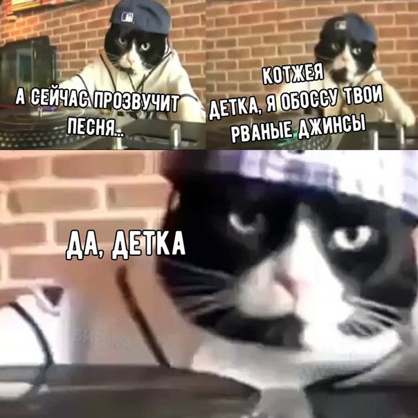 А вот и деградация подоспела. Ура, товарищи!