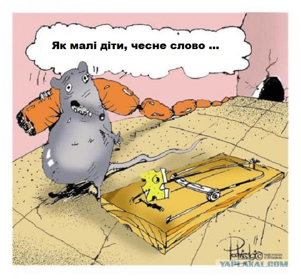 Дом из соломы