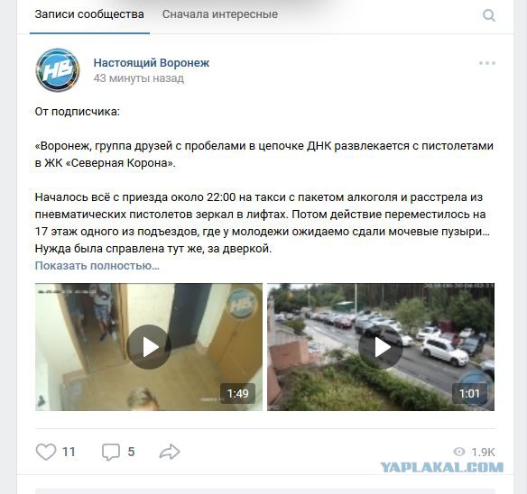 Малолетние дебилы, яга и пистолеты. Воронеж, 29-30.06.2018