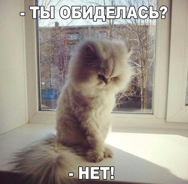 Немного милоты