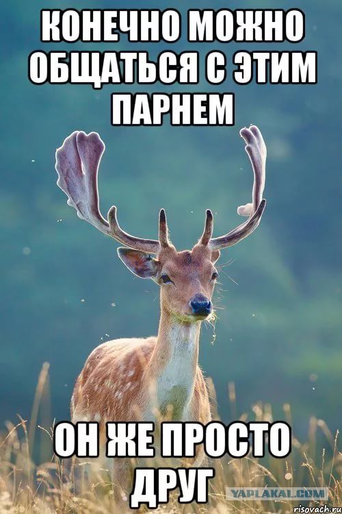 Не тот подарок