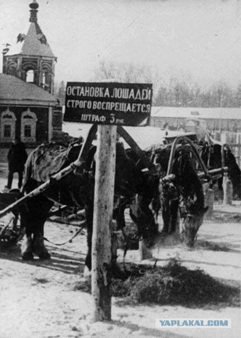Впервые вводятся ограничения для владельцев старых автомобилей. Пока только в Москве
