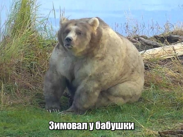 Немного картинок для настроения