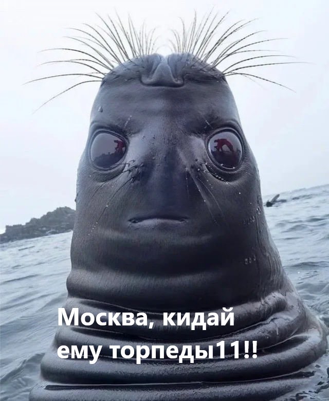 World of Warships - 8