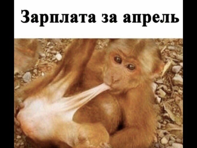 Итоги опроса: нерабочий апрель с полным сохранением зарплаты был только у 10% россиян