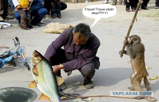 Неуловимый мститель
