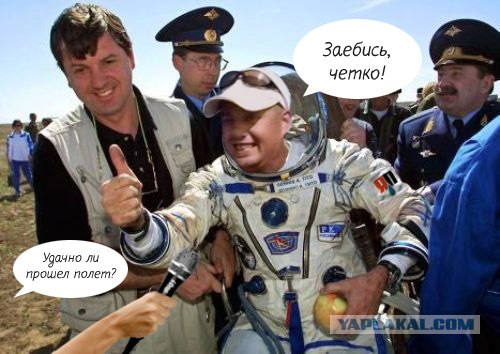 Фотожаба: На пеньке