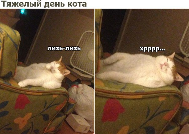 Картинки с надписями и всякие жизненные фразы 23.1.21