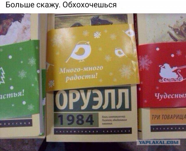 Бредзона 02.03.2021