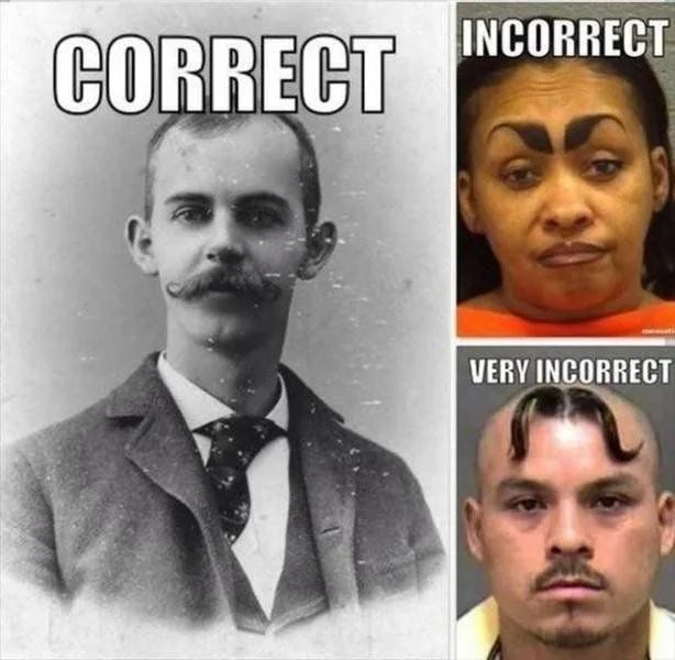15378065.jpg