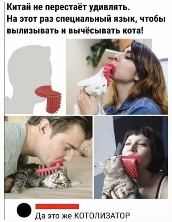 Картинки и мемы для настроения 15.06.2021