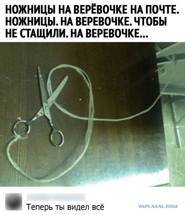 Так себе картинки 27.07.21