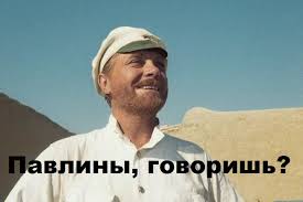 Фазаны