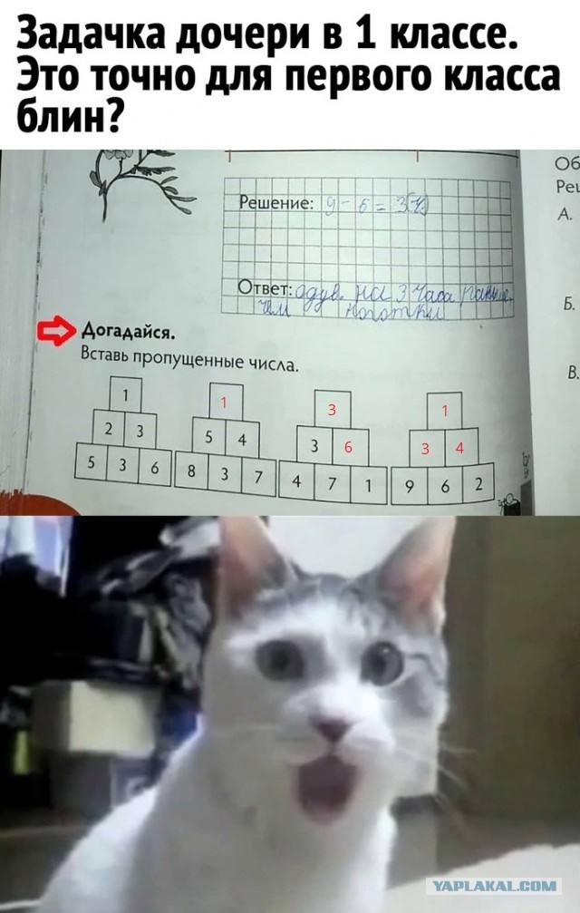 Так себе картинки 24.03.22