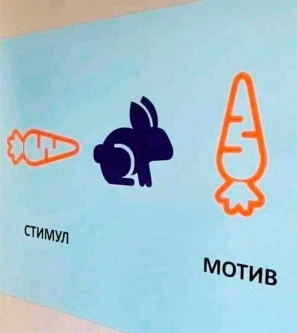 Прикольные и просто красивые картинки 28.03.2022