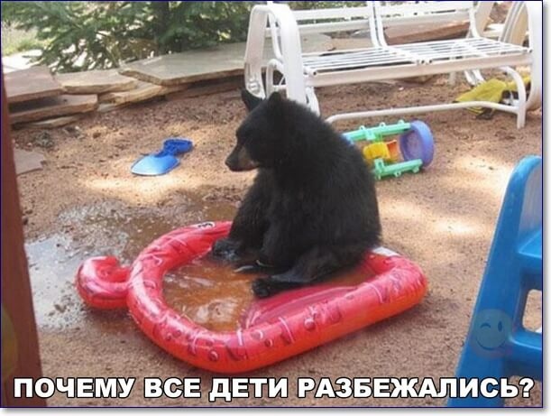 Так себе картинки 04.04.22
