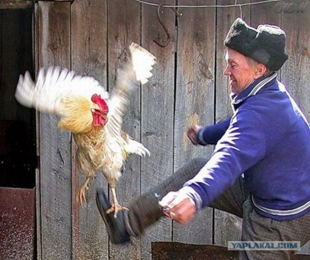 Уже страшно