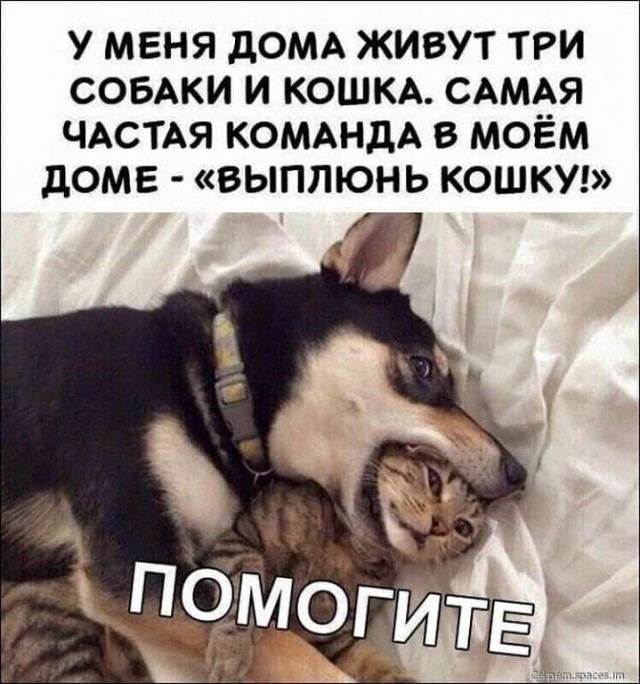 Всякой Хни вам в ленту, дорогие деграданты...