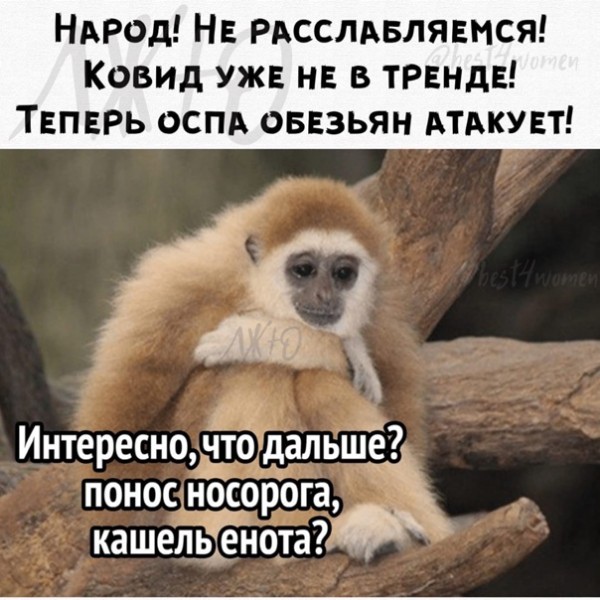Про оспу обезьян