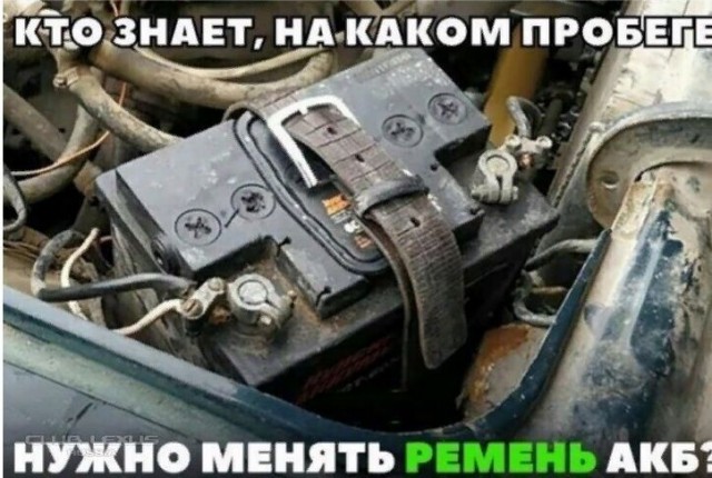 Весёлый полтишок 15.07.22