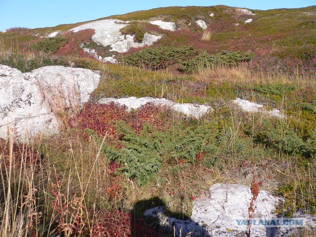 Водный поход по Карелии