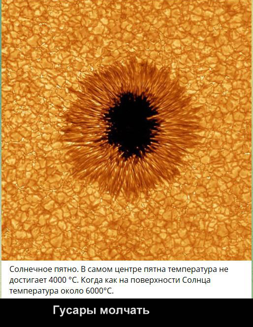 Немного мемчиков. Для взрослых. Часть 20