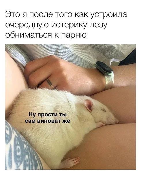 Прикольные и просто красивые картинки 25.10.2022