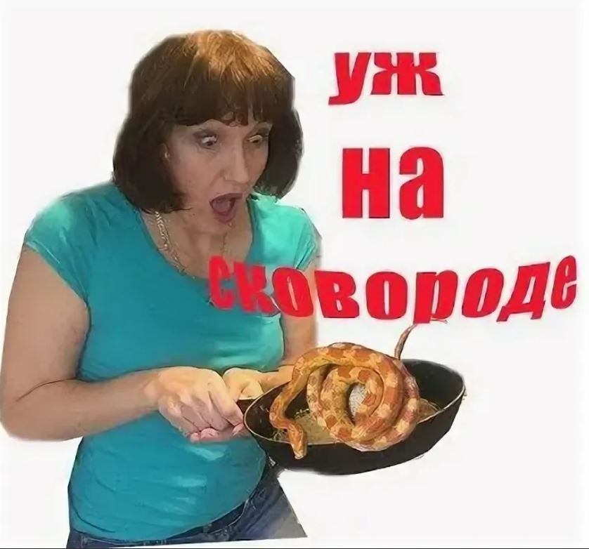 Уж на сковородке gif. Как уж на сковородке значение. Сковорода карикатура. Змеиный пирог. Уж на сковородке вертится.