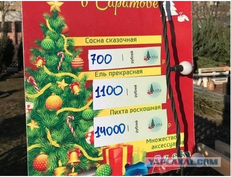 Свекровь подговаривает мужа сделать тест ДНК нашему сыну. Боюсь результата, так как есть грешок