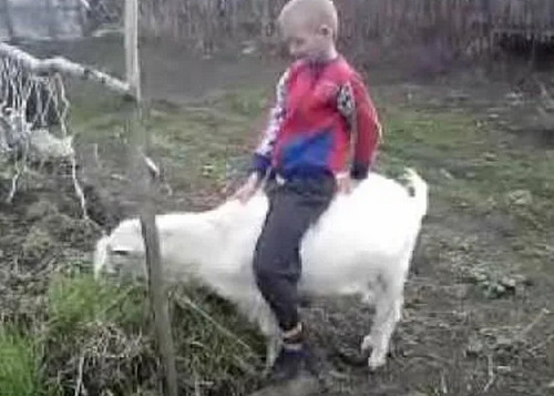 Олдскулы свело