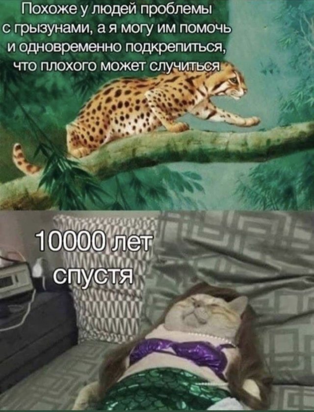 Картинки и мемы, всяко разно - 183