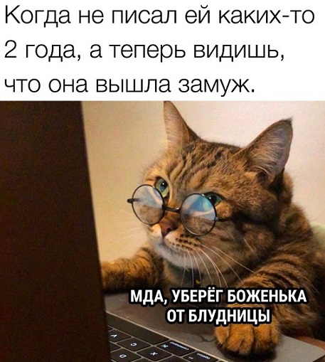 Забавные картинки, шутки из этих ваших интернетов