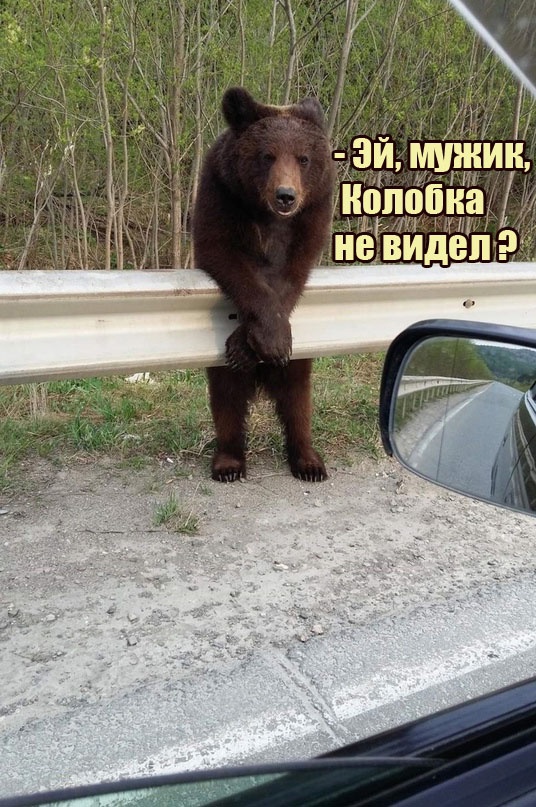 Так себе картинки 03.05.24
