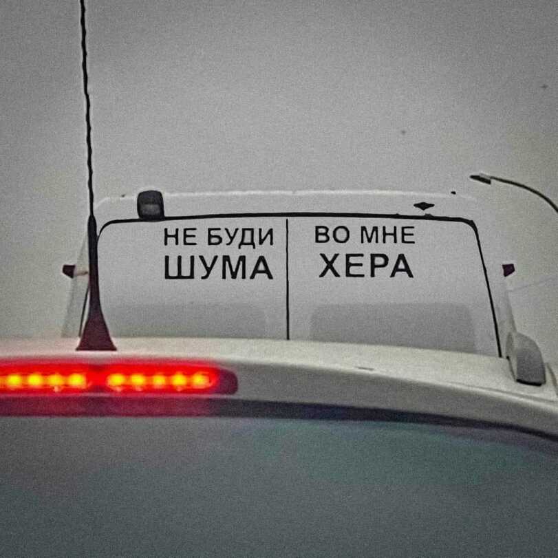19486065.jpg