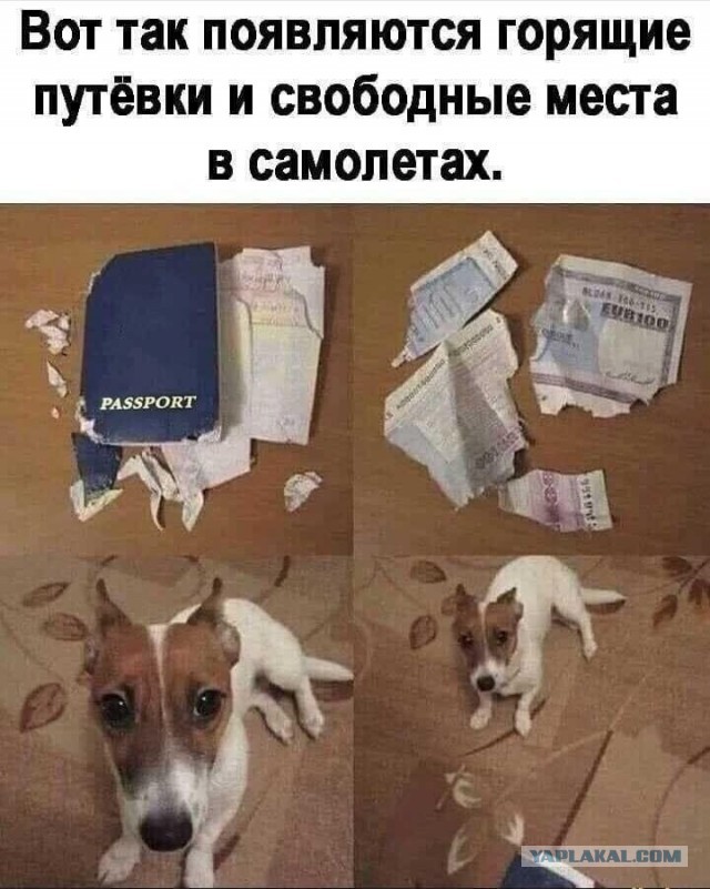 Завалялось тут случайно немного забавных картинок