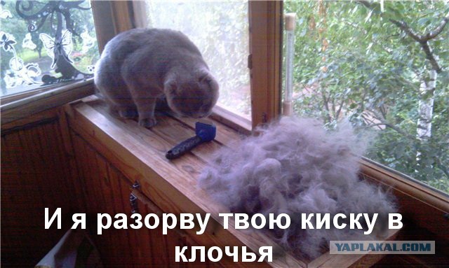 Я люблю Полиночку
