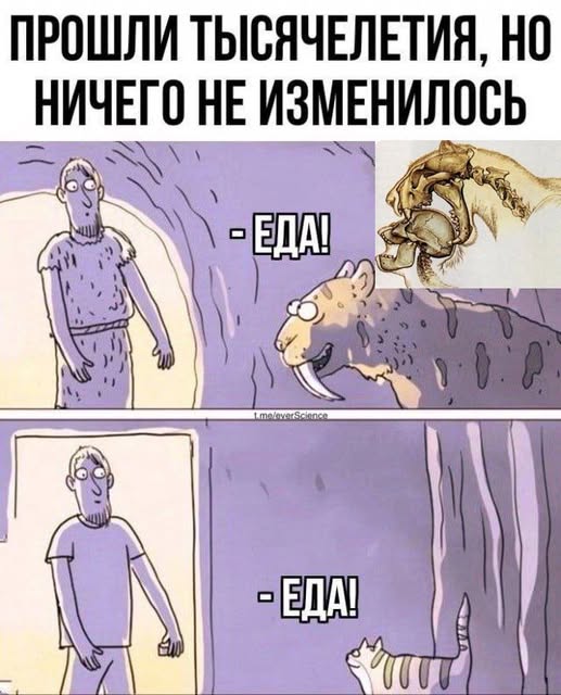 Картинки разные с надписями и без