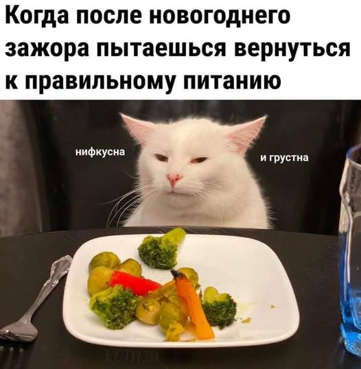 Весёлые картинки 2