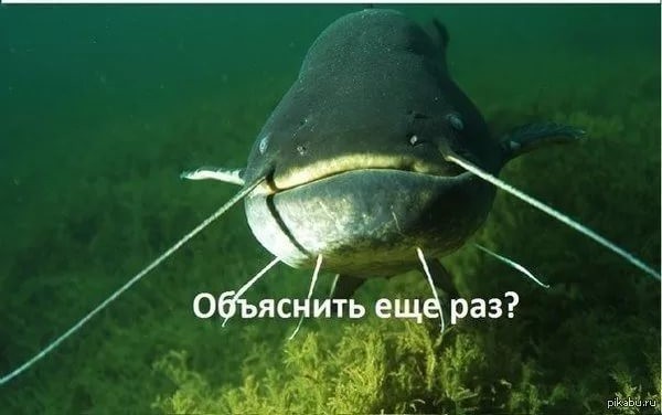 Охота была удачной