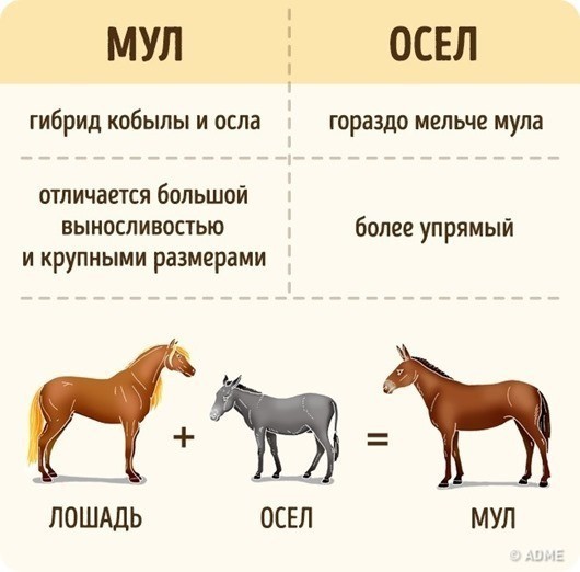 Иногда это мы путаем