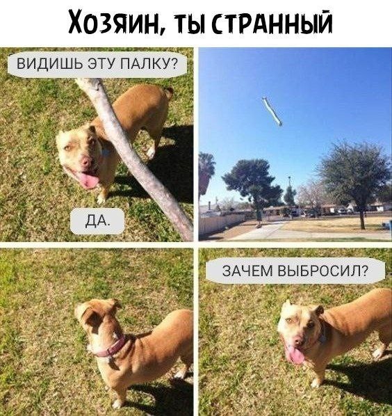 Своеобразный юмор картинок