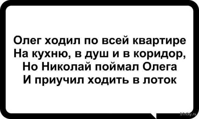 Немного юмора про Олега