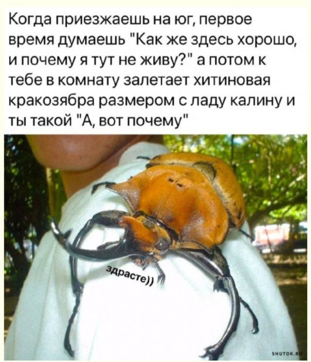 Веселые картинки в пятницу (25.07)