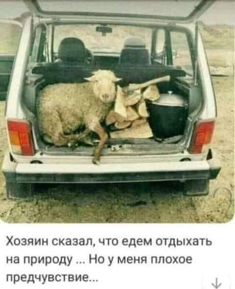 Веселые картинки в маленькую пятницу (03.12)