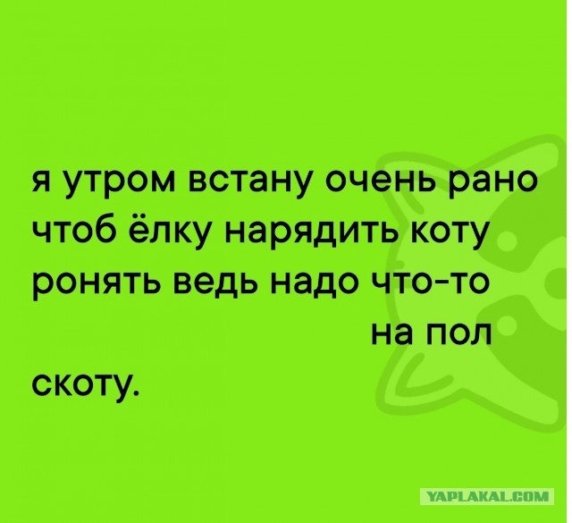 Готовимся к встрече НГ! В глазах застыл немой вопрос, а где же моя прелесть(Ёлочка)?