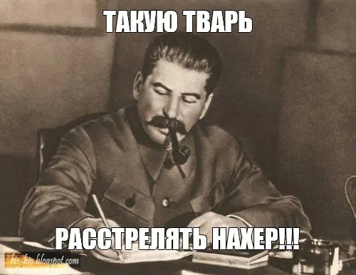 Ксения Собчак обратилась в СК с просьбой проверить высказывания Владимира Соловьёва о Виктории Боне