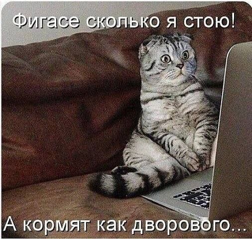 Картинки для деградации 194 (разной степени свежести)