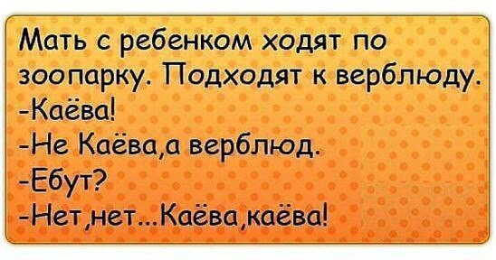Картинки для деградации 219 (разной степени свежести)