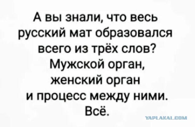 Картинки для деградации 284 (разной степени свежести)